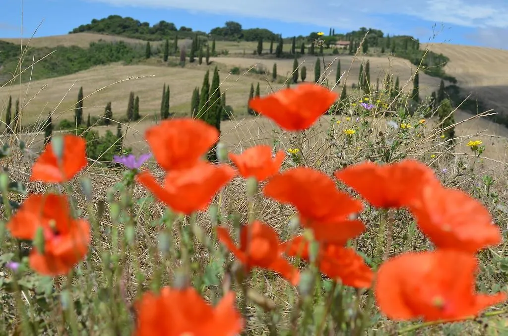 Le Ginestre Arte Vacanze Chianciano Terme 0*,  Italy